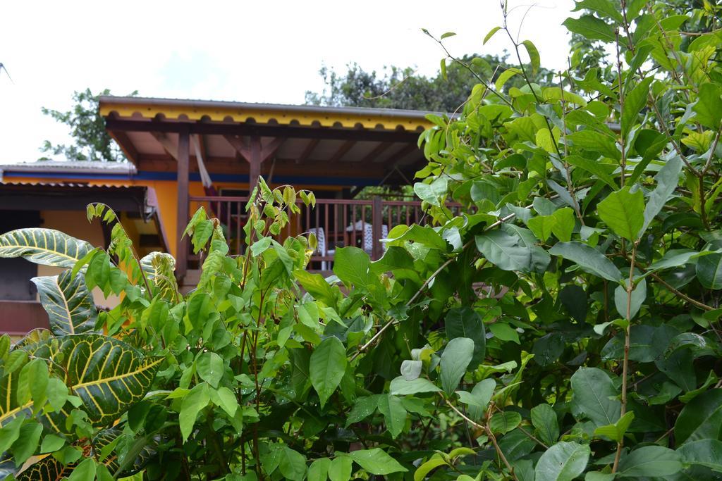 L'Ecomusee Creole De La Guadeloupe Sainte-Rose Buitenkant foto